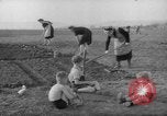 Image of grow vegetables Germany, 1946, second 13 stock footage video 65675070619