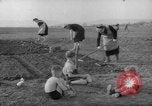 Image of grow vegetables Germany, 1946, second 14 stock footage video 65675070619