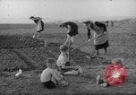 Image of grow vegetables Germany, 1946, second 16 stock footage video 65675070619