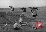 Image of grow vegetables Germany, 1946, second 17 stock footage video 65675070619