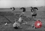 Image of grow vegetables Germany, 1946, second 18 stock footage video 65675070619