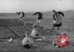 Image of grow vegetables Germany, 1946, second 19 stock footage video 65675070619