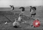 Image of grow vegetables Germany, 1946, second 20 stock footage video 65675070619