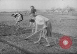 Image of grow vegetables Germany, 1946, second 21 stock footage video 65675070619