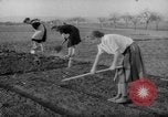Image of grow vegetables Germany, 1946, second 24 stock footage video 65675070619