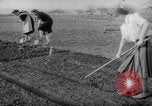Image of grow vegetables Germany, 1946, second 27 stock footage video 65675070619