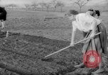 Image of grow vegetables Germany, 1946, second 30 stock footage video 65675070619