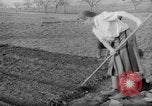 Image of grow vegetables Germany, 1946, second 31 stock footage video 65675070619