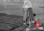 Image of grow vegetables Germany, 1946, second 36 stock footage video 65675070619
