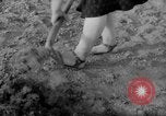 Image of grow vegetables Germany, 1946, second 42 stock footage video 65675070619