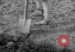 Image of grow vegetables Germany, 1946, second 46 stock footage video 65675070619