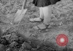 Image of grow vegetables Germany, 1946, second 48 stock footage video 65675070619