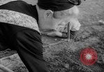 Image of grow vegetables Germany, 1946, second 51 stock footage video 65675070619