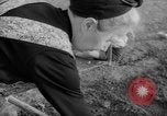 Image of grow vegetables Germany, 1946, second 53 stock footage video 65675070619