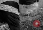 Image of grow vegetables Germany, 1946, second 54 stock footage video 65675070619