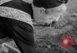 Image of grow vegetables Germany, 1946, second 56 stock footage video 65675070619