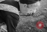 Image of grow vegetables Germany, 1946, second 57 stock footage video 65675070619