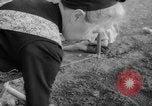 Image of grow vegetables Germany, 1946, second 58 stock footage video 65675070619