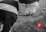 Image of grow vegetables Germany, 1946, second 59 stock footage video 65675070619