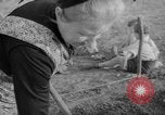 Image of grow vegetables Germany, 1946, second 61 stock footage video 65675070619