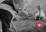 Image of grow vegetables Germany, 1946, second 62 stock footage video 65675070619