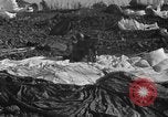 Image of Coregidor invasion Philippines, 1945, second 7 stock footage video 65675070633
