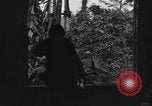 Image Corregidor invasion Philippines, 1945, de la seconde 24 séquences d'archives historiques vidéo 65675070638