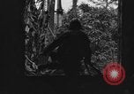 Image Corregidor invasion Philippines, 1945, de la seconde 25 séquences d'archives historiques vidéo 65675070638