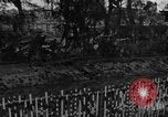 Image Corregidor invasion Philippines, 1945, de la seconde 43 séquences d'archives historiques vidéo 65675070638