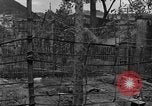 Image Corregidor invasion Philippines, 1945, de la seconde 50 séquences d'archives historiques vidéo 65675070638