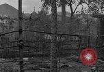 Image Corregidor invasion Philippines, 1945, de la seconde 62 séquences d'archives historiques vidéo 65675070638