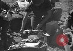 Standbild paratroop Invasion der Corregidor Mindoro (Philippinen), 1945, aus Sekunde 18 historischem Filmmaterial Videoclip 65675070642
