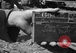 Standbild Fallschirmjäger Invasion der Corregidor Mindoro (Philippinen), 1945, aus Sekunde 5 historischem Filmmaterial Videoclip 65675070645