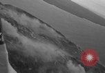 Standbild paratroop Invasion Corregidor Island Philippinen, 1945, aus Sekunde 28 historischem Filmmaterial Videoclip 65675070646
