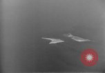 Standbild Bombardierung Hamburg Deutschland, 1944, aus Sekunde 35 historischem Filmmaterial Videoclip 65675070663