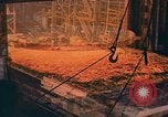 Image Mme Pat Nixon de Keel-pose de la NS Savannah Camden New Jersey United States USA, 1958, de la seconde 19 séquences d'archives historiques vidéo 65675070685