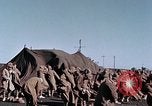 Image of Japanese soldiers Tsingtao China, 1945, second 25 stock footage video 65675070701