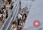 Image of Fighting fire on US Navy LST from kamikaze attack Pacific Theater, 1945, second 41 stock footage video 65675070702