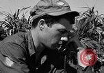 Image of landing crafts Okinawa Ryukyu Islands, 1945, second 32 stock footage video 65675070703