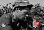 Image of landing crafts Okinawa Ryukyu Islands, 1945, second 33 stock footage video 65675070703