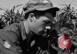 Image of landing crafts Okinawa Ryukyu Islands, 1945, second 34 stock footage video 65675070703