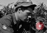 Image of landing crafts Okinawa Ryukyu Islands, 1945, second 35 stock footage video 65675070703