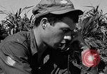 Image of landing crafts Okinawa Ryukyu Islands, 1945, second 36 stock footage video 65675070703