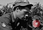 Image of landing crafts Okinawa Ryukyu Islands, 1945, second 37 stock footage video 65675070703