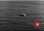 Image of rescue operations in emergency United States USA, 1947, second 28 stock footage video 65675070714