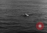 Image of rescue operations in emergency United States USA, 1947, second 29 stock footage video 65675070714