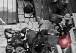 Standbild USS Wakefield United States USA, 1944, aus Sekunde 50 historischem Filmmaterial Videoclip 65675070721