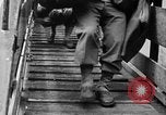 Image of USS Wakefield troop ship United States USA, 1945, second 7 stock footage video 65675070732