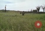 Standbild United States Marine Division 3 Vietnam, 1968, aus Sekunde 21 historischem Filmmaterial Videoclip 65675070733