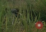Standbild United States Marine Division 3 Vietnam, 1968, aus Sekunde 43 historischem Filmmaterial Videoclip 65675070733